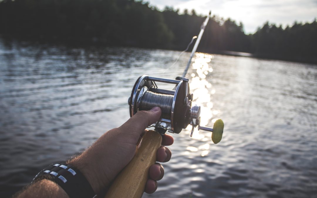 How to reel in the right RPA vendor for your business